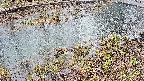 mizubasho7-20250403140045.jpg