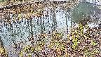 mizubasho7-20250403143042.jpg