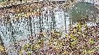 mizubasho7-20250403144043.jpg