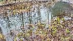 mizubasho7-20250403145043.jpg