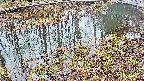 mizubasho7-20250403150042.jpg
