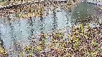 mizubasho7-20250403151042.jpg