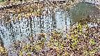 mizubasho7-20250403153044.jpg