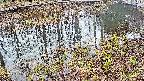 mizubasho7-20250403154046.jpg