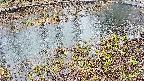 mizubasho7-20250403155042.jpg
