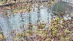 mizubasho7-20250403160042.jpg