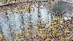 mizubasho7-20250403162042.jpg