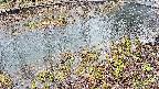 mizubasho7-20250403164041.jpg