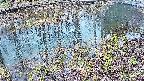 mizubasho7-20250403165044.jpg