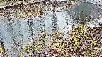 mizubasho7-20250403170044.jpg