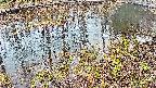 mizubasho7-20250403171043.jpg