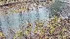 mizubasho7-20250403172044.jpg