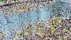 mizubasho7-20250403173044.jpg