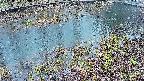 mizubasho7-20250403180046.jpg