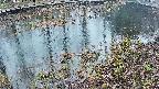 mizubasho7-20250403181043.jpg