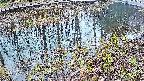 mizubasho7-20250404054042.jpg