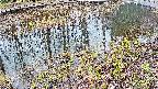 mizubasho7-20250404072043.jpg
