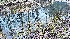 mizubasho7-20250404100042.jpg