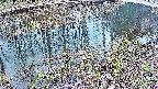 mizubasho7-20250404173043.jpg