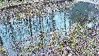 mizubasho7-20250404175042.jpg