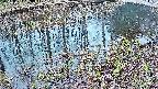 mizubasho7-20250404180044.jpg