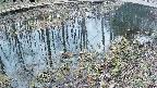 mizubasho7-20250405050040.jpg