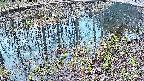 mizubasho7-20250405053045.jpg