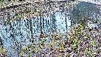 mizubasho7-20250405060044.jpg