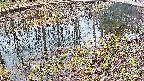 mizubasho7-20250405062044.jpg