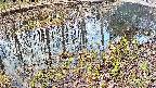 mizubasho7-20250405064043.jpg