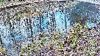 mizubasho7-20250405065042.jpg
