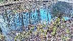 mizubasho7-20250405070045.jpg