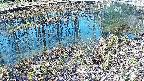 mizubasho7-20250405075040.jpg
