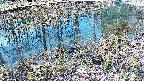 mizubasho7-20250405080041.jpg