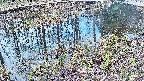 mizubasho7-20250405081040.jpg