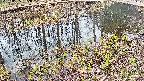 mizubasho7-20250405082041.jpg