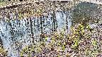 mizubasho7-20250405090040.jpg