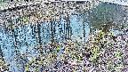mizubasho7-20250405092042.jpg