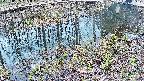 mizubasho7-20250405101049.jpg
