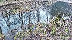 mizubasho7-20250405102044.jpg