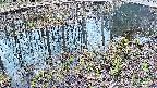 mizubasho7-20250405103045.jpg