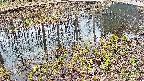 mizubasho7-20250405104040.jpg