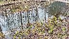 mizubasho7-20250405110043.jpg