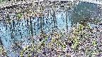 mizubasho7-20250405111044.jpg