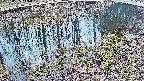 mizubasho7-20250405115041.jpg