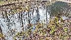 mizubasho7-20250405121044.jpg
