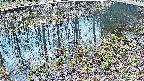 mizubasho7-20250405122044.jpg