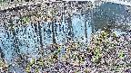 mizubasho7-20250405123044.jpg