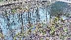 mizubasho7-20250405125040.jpg