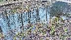 mizubasho7-20250405130042.jpg